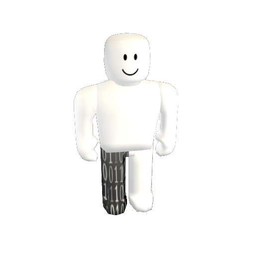 White Binary Pants