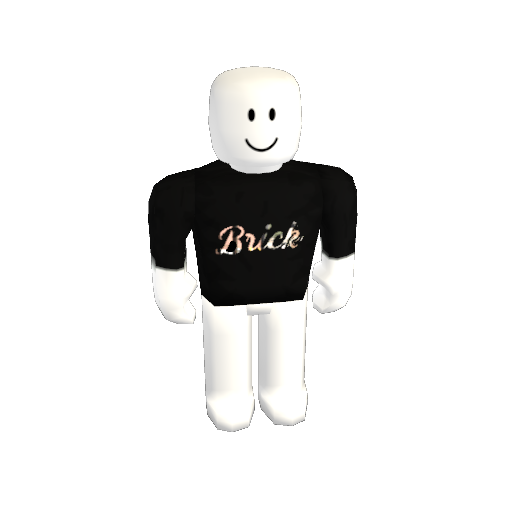 Shirt for : Custom Brick Bundle